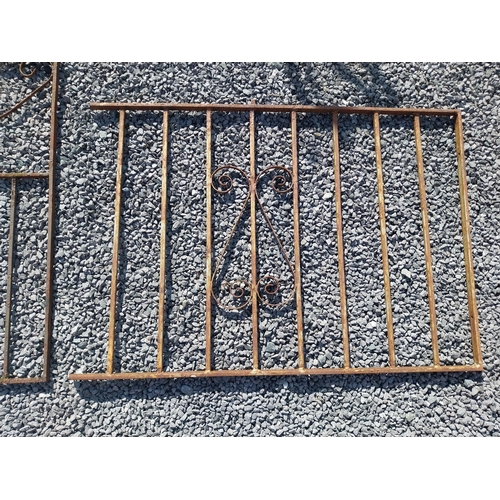 354 - Cast iron garden gate and railing {Gate 105 cm H x 82 cm W x 3 cm D. Railing 78 cm H x 113 cm W x 3 ... 