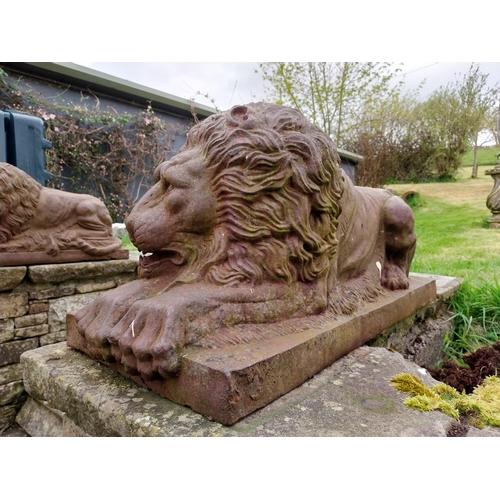 362 - Rare pair of 19th C. French cast iron recumbent Lions {45 cm H x 91 cm W x 40 cm D}.