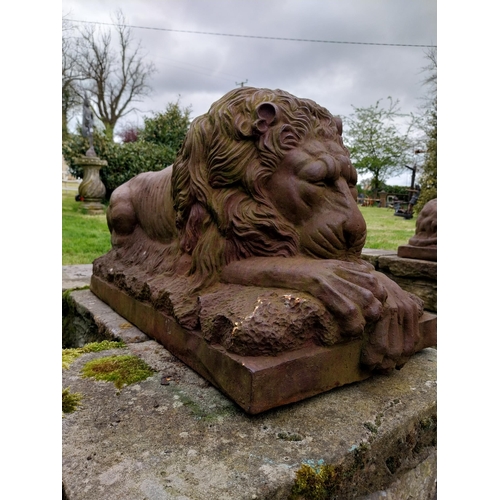 362 - Rare pair of 19th C. French cast iron recumbent Lions {45 cm H x 91 cm W x 40 cm D}.