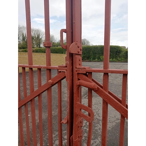 369 - Pair of forged wrought iron riveted entrance gates {H 220cm x W 463cm x D 6cm}. (NOT AVAILABLE TO VI... 