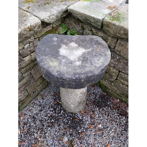 372 - 19th C. sandstone staddle stone {77 cm H x 50 cm Dia.}.