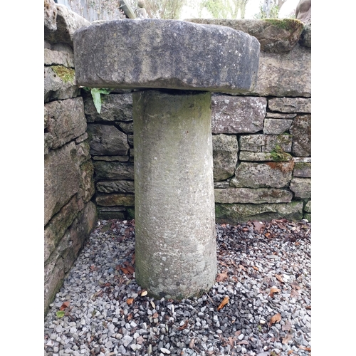 372 - 19th C. sandstone staddle stone {77 cm H x 50 cm Dia.}.