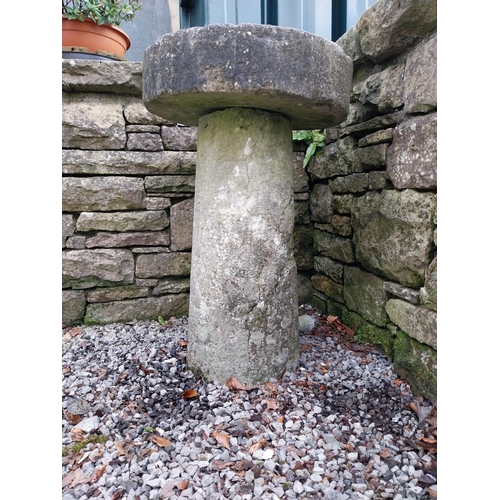 372 - 19th C. sandstone staddle stone {77 cm H x 50 cm Dia.}.