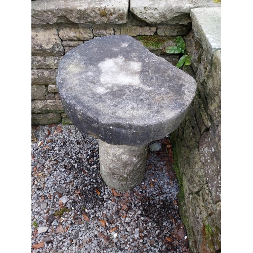 372 - 19th C. sandstone staddle stone {77 cm H x 50 cm Dia.}.