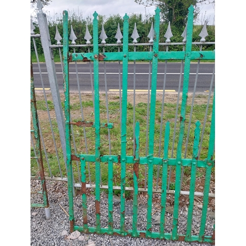 406 - 19th C. Irish hand-forged wrought iron yard gate {170 cm H x 293 cm W}.