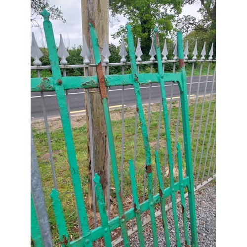 406 - 19th C. Irish hand-forged wrought iron yard gate {170 cm H x 293 cm W}.