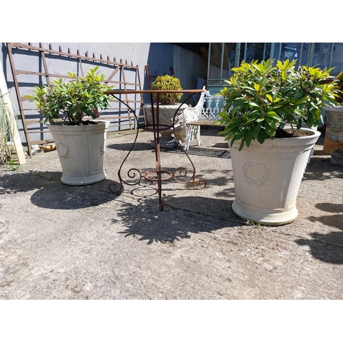 416 - Pair of moulded stone circular planters decorated with reefs including rhododendron plant {51 cm H x... 