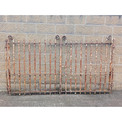 445 - Pair of forged wrought iron gates heavy scroll design {H 142cm x W 240cm x D 7cm }. (NOT AVAILABLE T... 