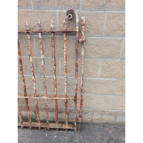 445 - Pair of forged wrought iron gates heavy scroll design {H 142cm x W 240cm x D 7cm }. (NOT AVAILABLE T... 