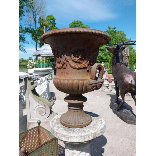 446 - Decorative French cast iron urn raised on moulded stone pedestal {144 cm H x 47 cm Dia.}.