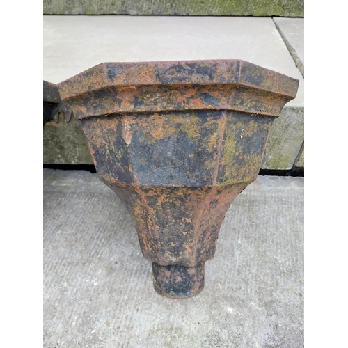 466 - Three 19th C. cast iron hopper heads {Approx.. 28 cm H x 26 cm W x 19 cm D}.