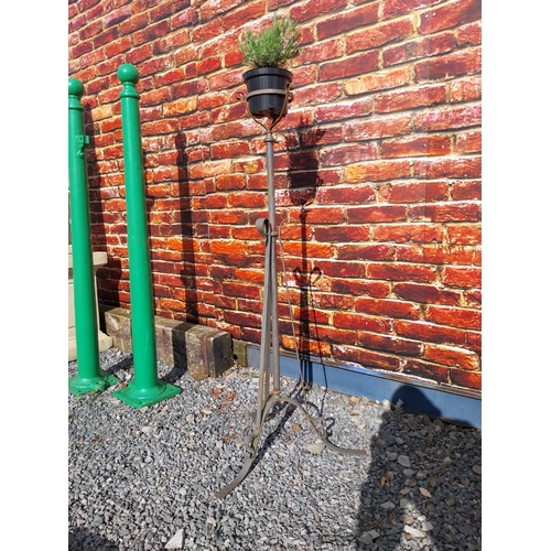 497 - Art Nouveau wrought iron plant stand {132 cm H x 60 cm Dia.}.