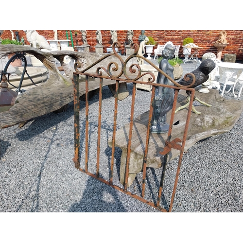 516 - 1950s wrought iron garden gate {122 cm H x 106 cm W x 4 cm D}.