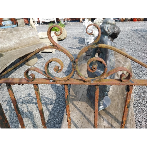 516 - 1950s wrought iron garden gate {122 cm H x 106 cm W x 4 cm D}.