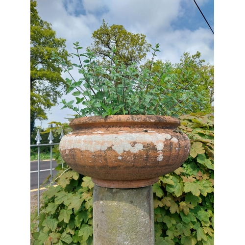 528 - 19th C. sandstone pedestal surmounted by terracotta urn {159 cm H x 58 cm Dia.}.