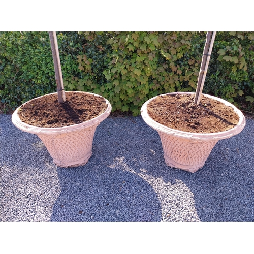 532 - Pair of moulded terracotta lattice urns with tree {Urn dimension 77 cm H x 105 cm Dia.}.