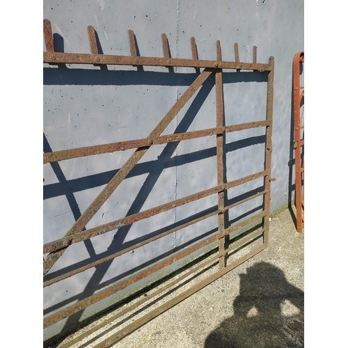 570 - 19th C. Irish hand forged wrought iron gate {150 cm H x 249 cm W }.