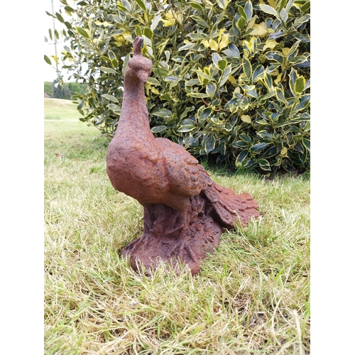 580 - Pair of cast iron statuette of Peacocks {34 cm H x 21 cm W x 42 cm D}.