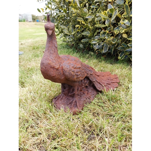 580 - Pair of cast iron statuette of Peacocks {34 cm H x 21 cm W x 42 cm D}.