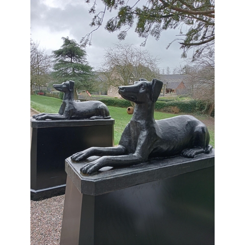 609 - Pair of cast iron statues of Dogs raised on plinths {H 163cm x W 64cm x D 145cm Dogs H 66cm x W 46cm... 