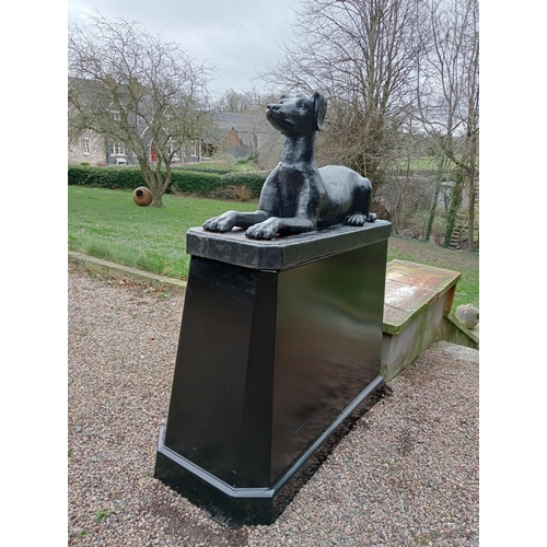 609 - Pair of cast iron statues of Dogs raised on plinths {H 163cm x W 64cm x D 145cm Dogs H 66cm x W 46cm... 