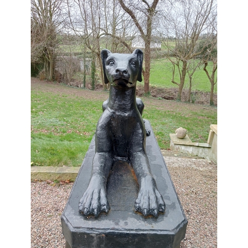 609 - Pair of cast iron statues of Dogs raised on plinths {H 163cm x W 64cm x D 145cm Dogs H 66cm x W 46cm... 