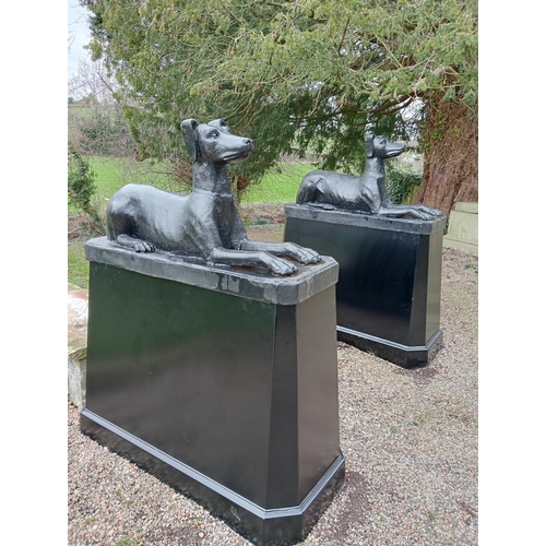 609 - Pair of cast iron statues of Dogs raised on plinths {H 163cm x W 64cm x D 145cm Dogs H 66cm x W 46cm... 