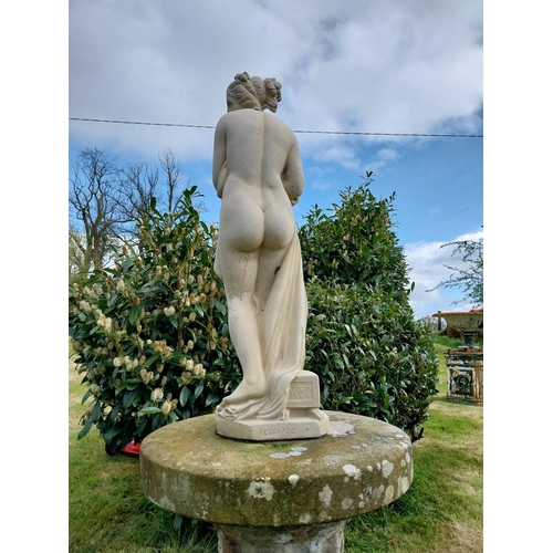 610 - Good quality moulded stone statue of Venus {70 cm H x 20 cm W 22 cm D}.