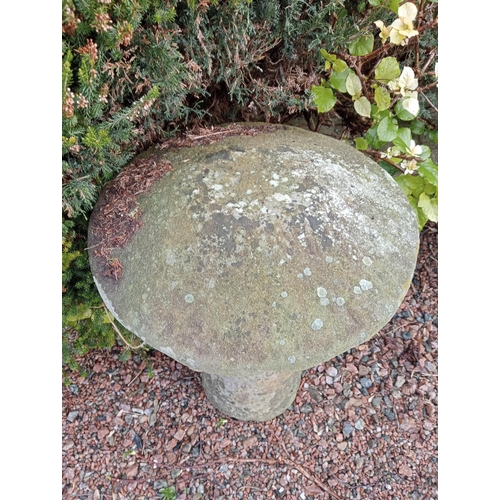 635 - Sandstone staddle stone {H 74cm x Dia 52cm }. (NOT AVAILABLE TO VIEW IN PERSON)