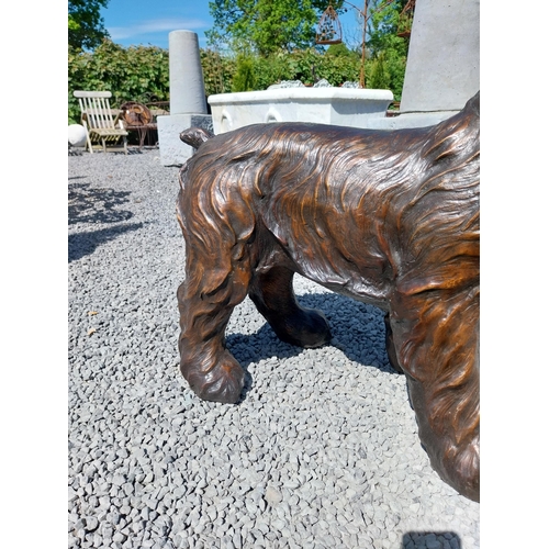 645 - Exceptional quality bronze sculpture of a Schnauzer {70 cm H x 86 cm W x 40 cm D}.