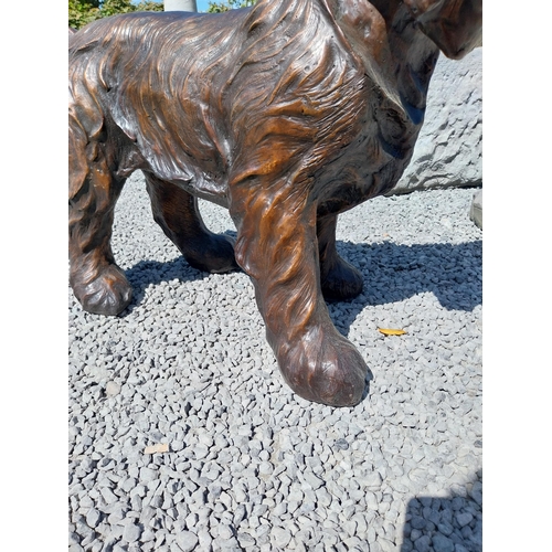 645 - Exceptional quality bronze sculpture of a Schnauzer {70 cm H x 86 cm W x 40 cm D}.