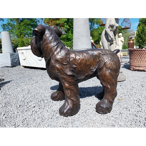 645 - Exceptional quality bronze sculpture of a Schnauzer {70 cm H x 86 cm W x 40 cm D}.