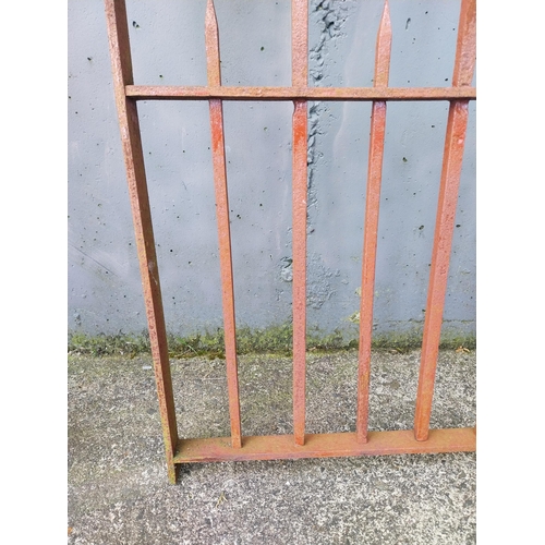 648 - 19th C. wrought iron garden gate {132 cm H x 114 cm W}.