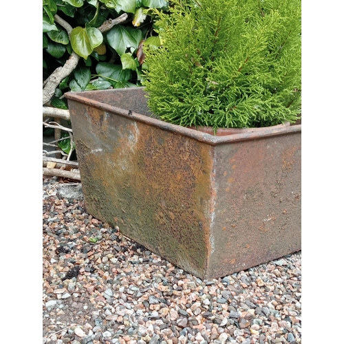 675 - Cast iron rectangular planter {}. (NOT AVAILABLE TO VIEW IN PERSON)