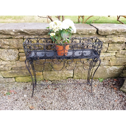 686 - Decorative wrought iron plant stand {86 cm H x 86 cm W x 20 cm D}.