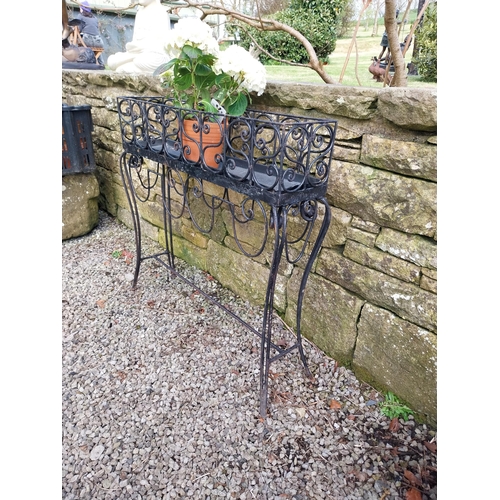 686 - Decorative wrought iron plant stand {86 cm H x 86 cm W x 20 cm D}.