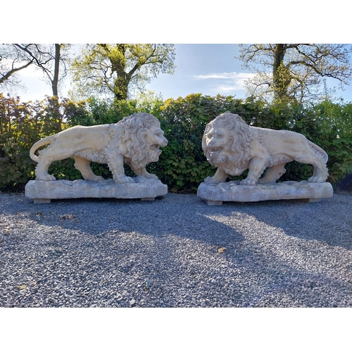 69 - Pair of exceptional quality moulded sandstone majestic Lions {132 cm H x 210 cm W x 80 cm D}.