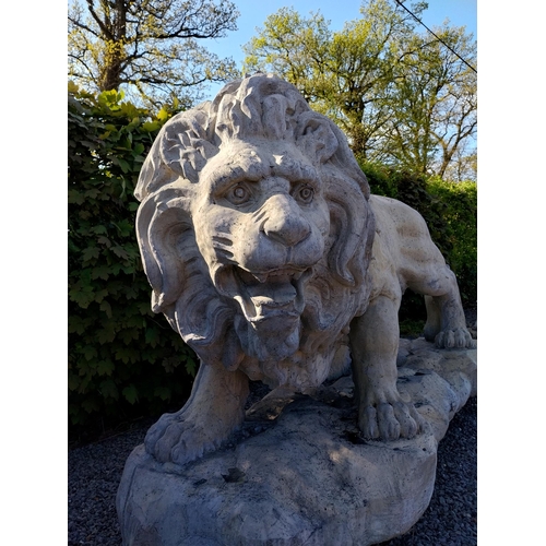 69 - Pair of exceptional quality moulded sandstone majestic Lions {132 cm H x 210 cm W x 80 cm D}.