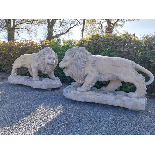 69 - Pair of exceptional quality moulded sandstone majestic Lions {132 cm H x 210 cm W x 80 cm D}.