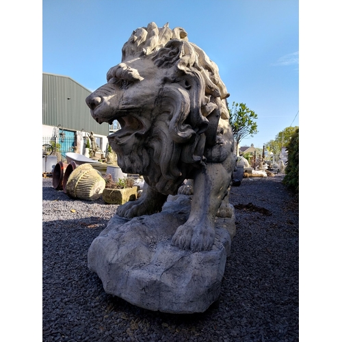 69 - Pair of exceptional quality moulded sandstone majestic Lions {132 cm H x 210 cm W x 80 cm D}.