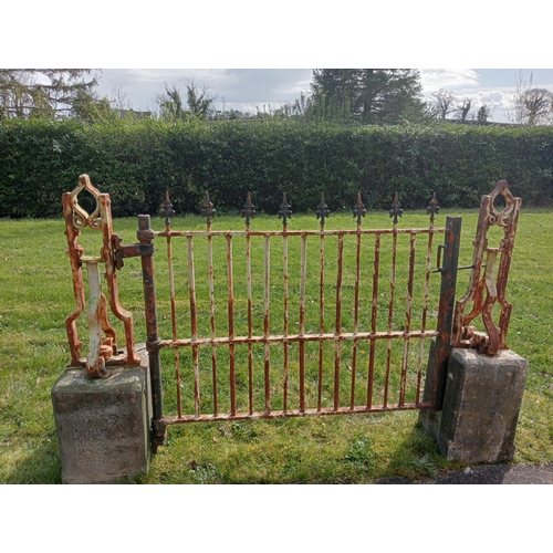 707 - Wrought iron entrance gate with scroll design posts mounted on stone bases {H 113cm x W 178cm x D 30... 