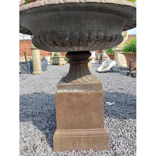 718 - Pair of good quality cast iron urns raised on pedestals in the Georgian style {92 cm H x 100 cm Dia.... 