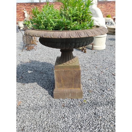 718 - Pair of good quality cast iron urns raised on pedestals in the Georgian style {92 cm H x 100 cm Dia.... 