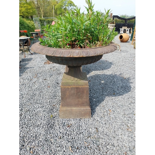 718 - Pair of good quality cast iron urns raised on pedestals in the Georgian style {92 cm H x 100 cm Dia.... 