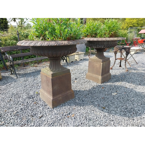 718 - Pair of good quality cast iron urns raised on pedestals in the Georgian style {92 cm H x 100 cm Dia.... 