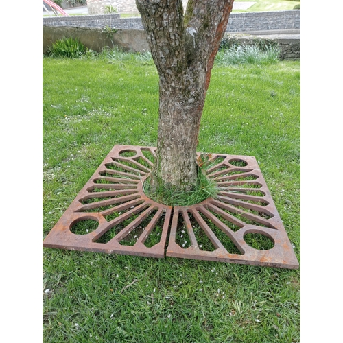 737 - Large cast iron tree surround {150 x 150inside Dia 60cm }. (NOT AVAILABLE TO VIEW IN PERSON)