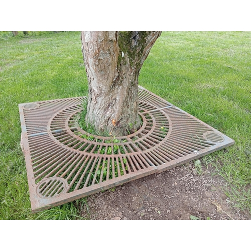 737A - Large cast iron tree surround {150 x 150inside Dia 60cm }. (NOT AVAILABLE TO VIEW IN PERSON)