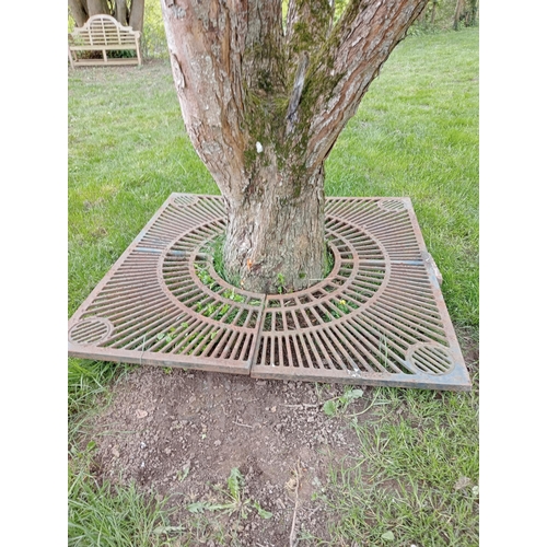 737A - Large cast iron tree surround {150 x 150inside Dia 60cm }. (NOT AVAILABLE TO VIEW IN PERSON)