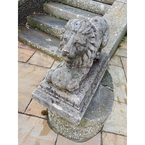 769 - Pair of stone lions with balls at feet {H 45cm x W 28cm x D 66cm}. (NOT AVAILABLE TO VIEW IN PERSON)