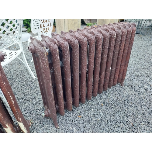 780 - Two decorative cast iron radiators in the Victorian style - taken out working {74 cm H x 108 cm W x ... 